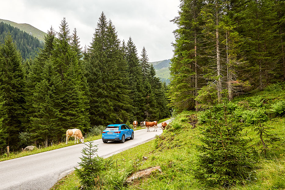 Blauer Audi Q3 fährt durch die Gegend von Schladming