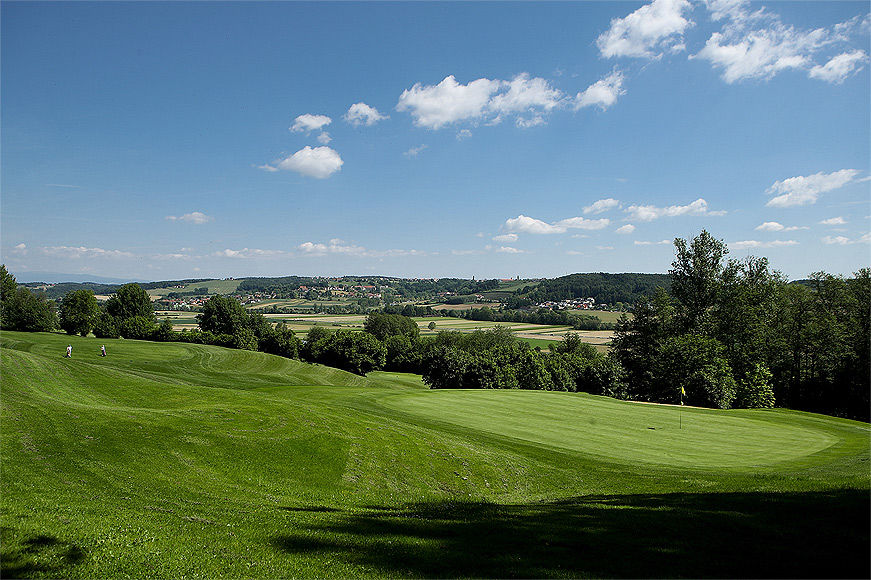 Grüner Rasen des Golf Clubs Bad Waltersdorf